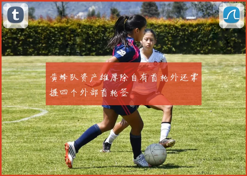 黄蜂队资产雄厚除自有首轮外还掌握四个外部首轮签